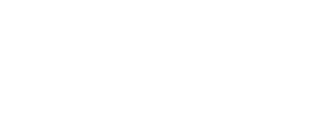 Evarlo Logo